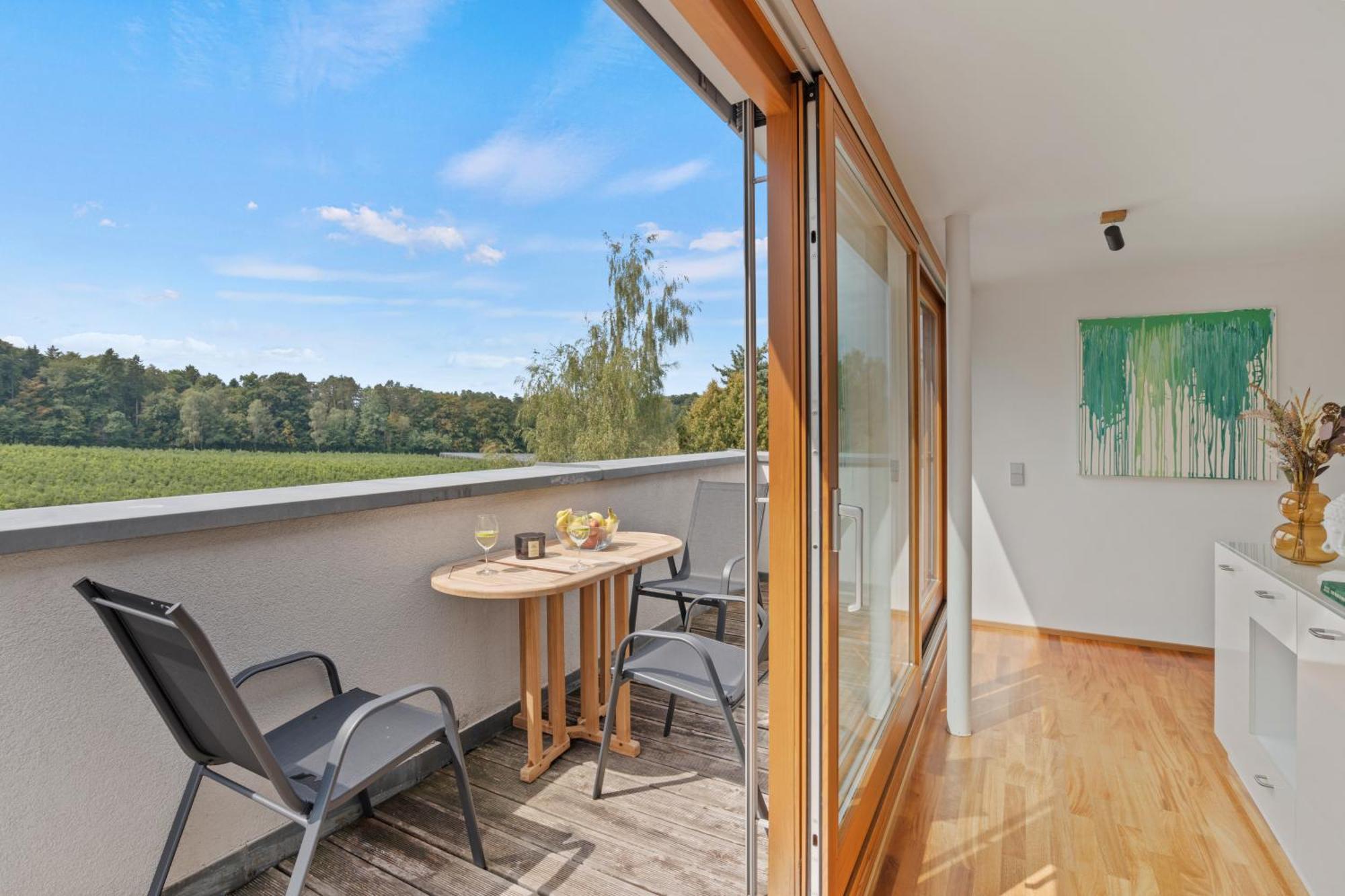 Loft Bodensee An Den Apfelfeldern 腓特烈港 外观 照片